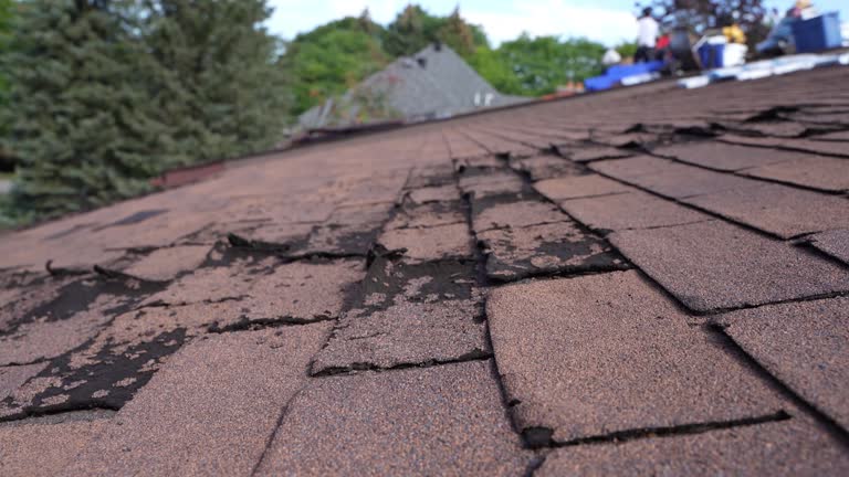 Lodi, WI Roofing Service Company