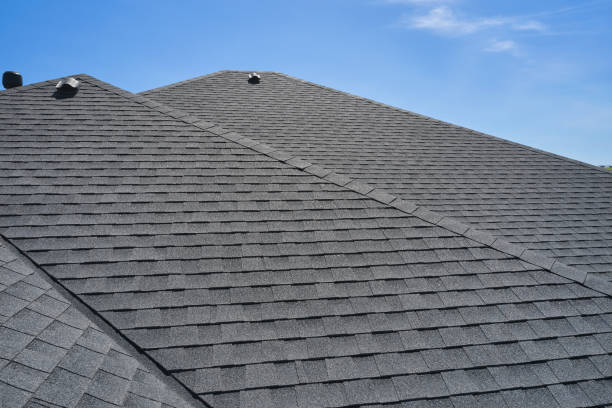 Roof Coating Services in Lodi, WI